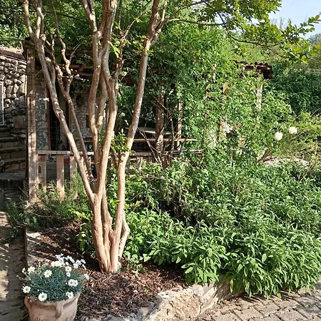 La Casa Nel Bosco, Ma A 2 Passi Dal Centro Ривергаро